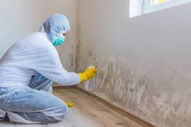 Best Comprehensive Air Testing for Mold Contaminants  in Fowler, MI